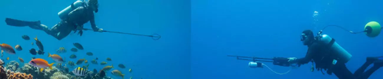 Speargun for Reef Hunting