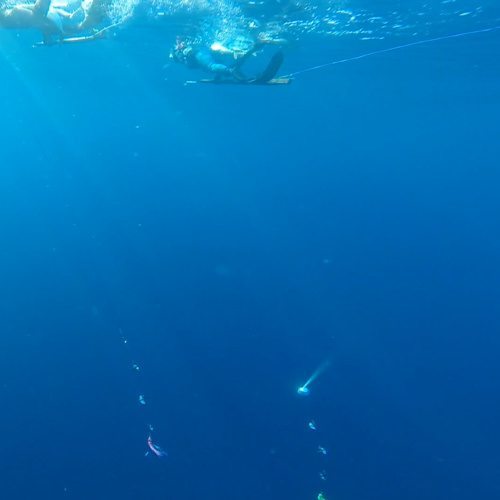 Disco Ball Flasher and Case