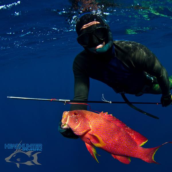 best pole spear for big fish Headhunter Predator Pole Spear